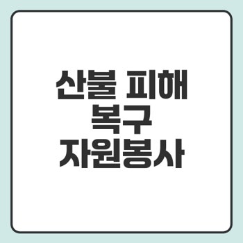 산불피해 복구.jpg